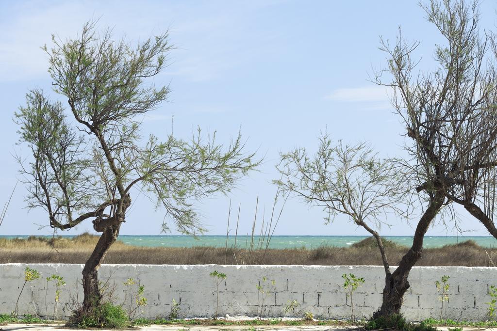 Spiaggiabella Beach Hotel Del Silenzio By Ria Hotels Torre Rinalda Exterior photo